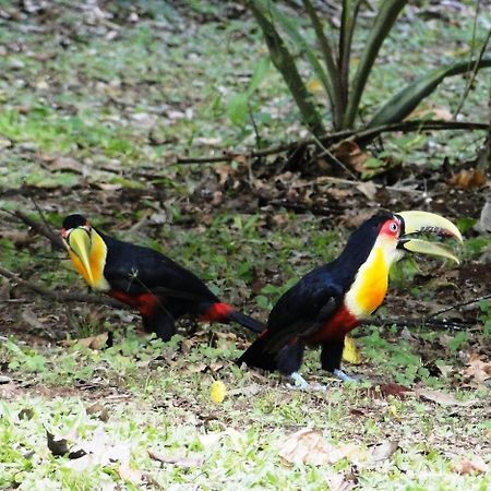Yasi Yatere Reserva Agroecologica Ель-Собербіо Екстер'єр фото