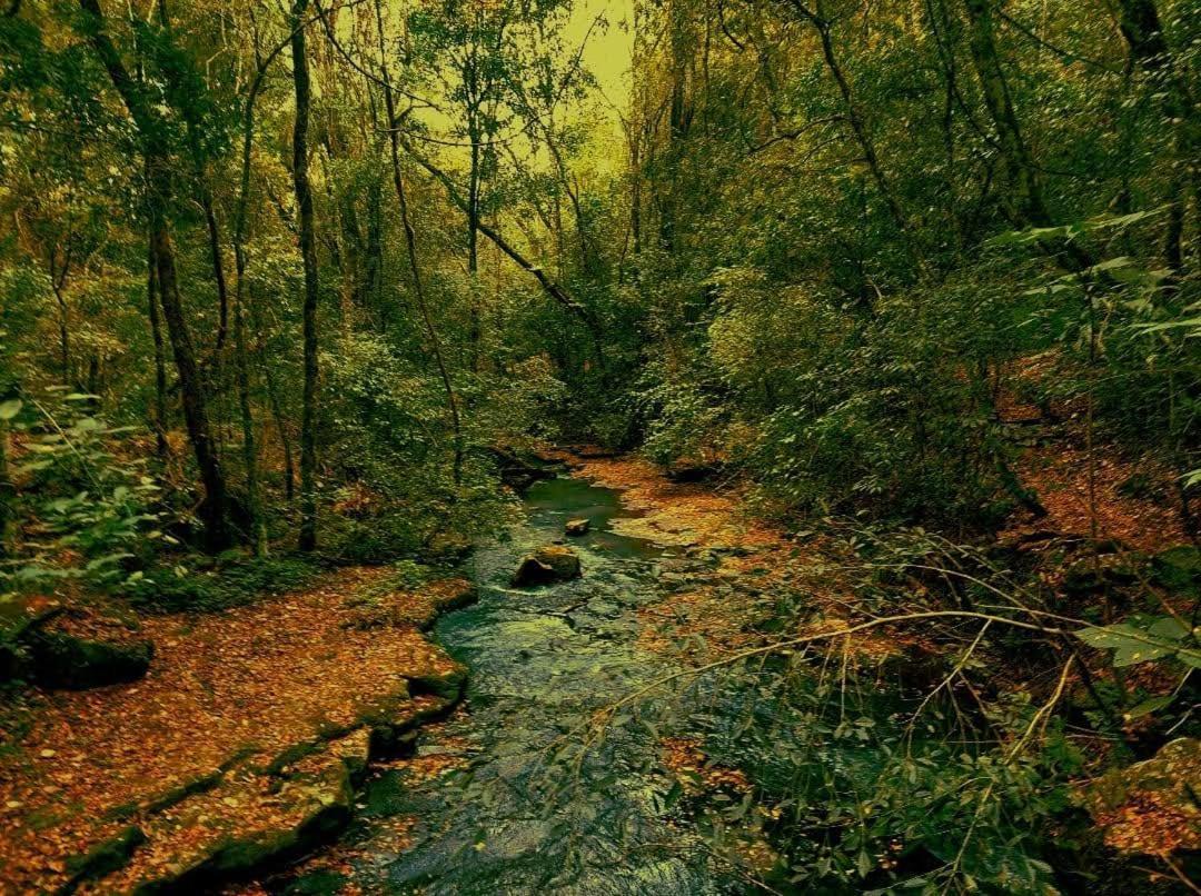 Yasi Yatere Reserva Agroecologica Ель-Собербіо Екстер'єр фото